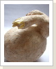 die frau mit dem goldenen händchen